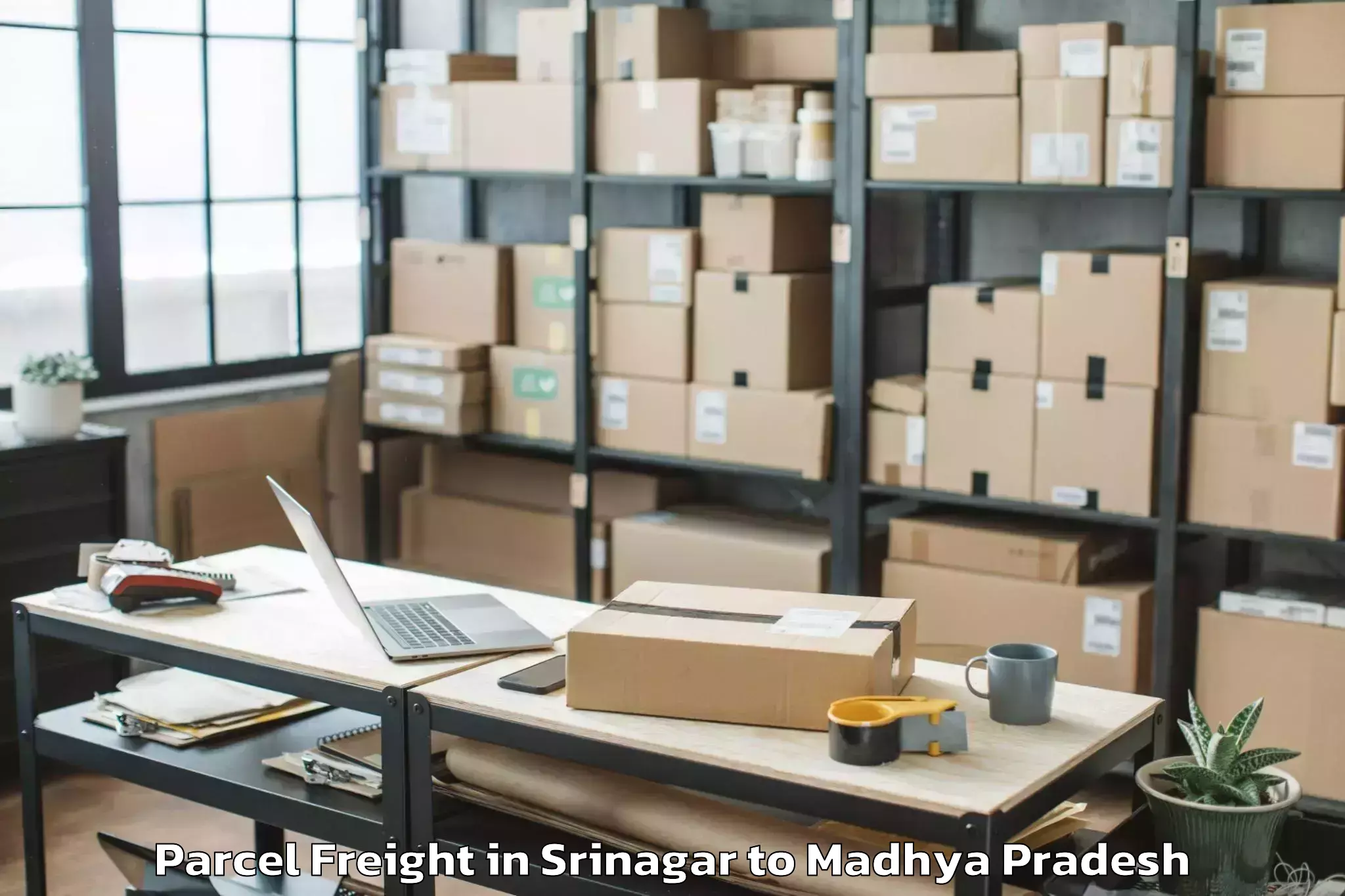 Top Srinagar to Mandsaur University Mandsaur Parcel Freight Available